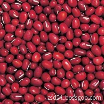 Adzuki beans